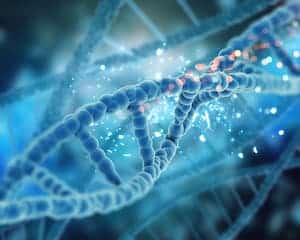 Cinsel Suçlarda Mağdurun Çelişkili Beyanları 2 dna closely 4 1