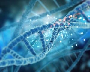 Anasayfa 4 dna closely 1
